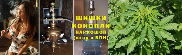 mdma Белокуриха