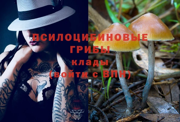 шишки Тында